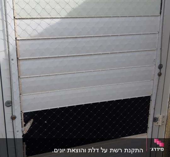 רשת מתכת על דלת למניעת כניסת יונים